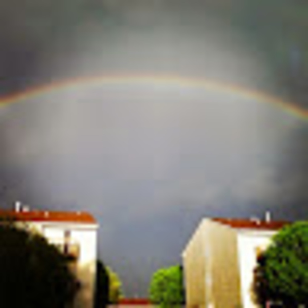 Meet your Posher, Charli